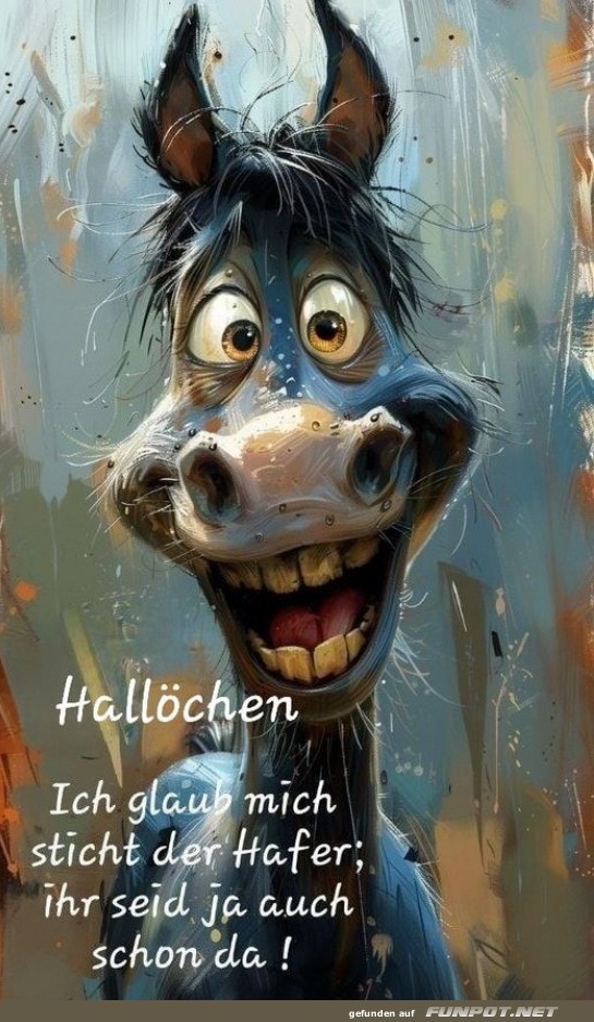 Hallo