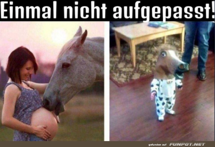 Einmal nicht aufgepasst