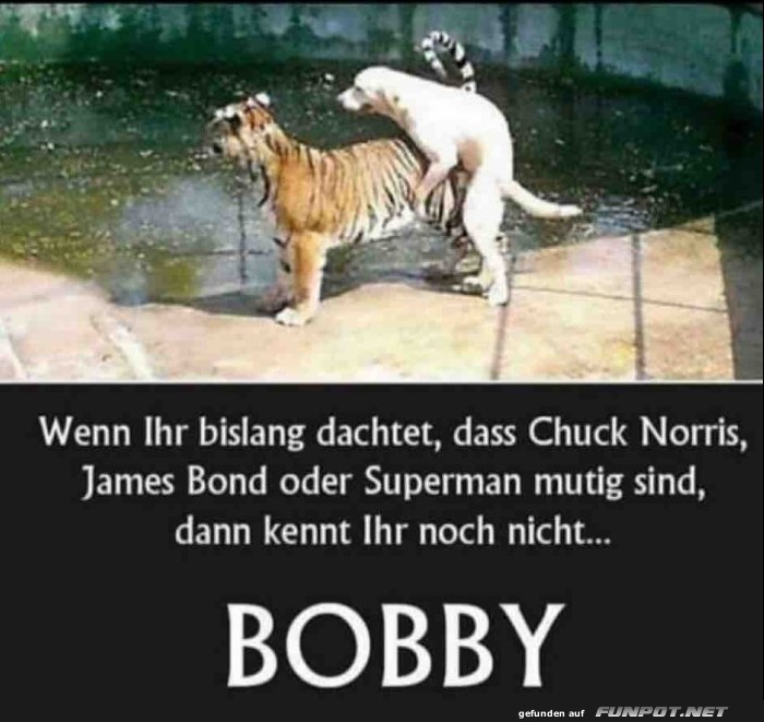 BOBBY