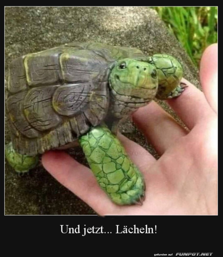 Jetzt lcheln