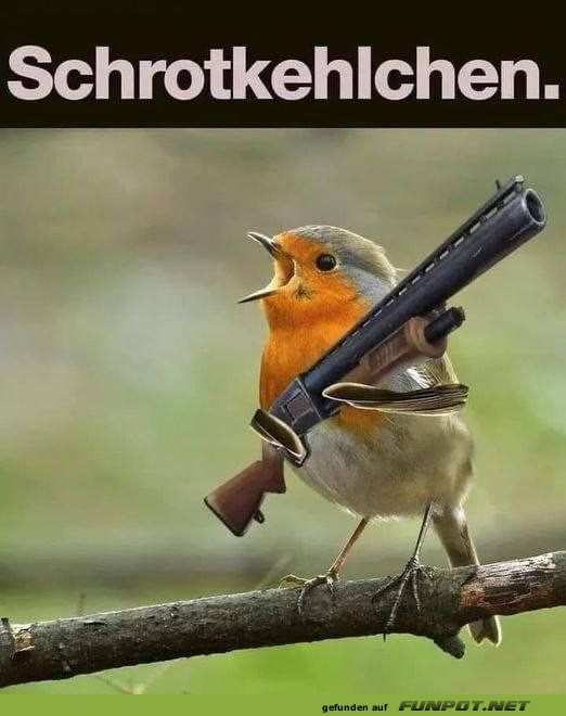 Besonderer Vogel