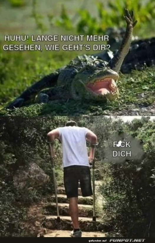 Lange nicht mehr gesehen