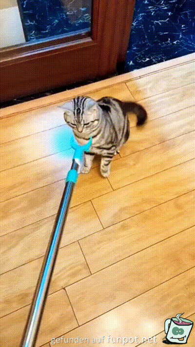 Spiel mit der Katze