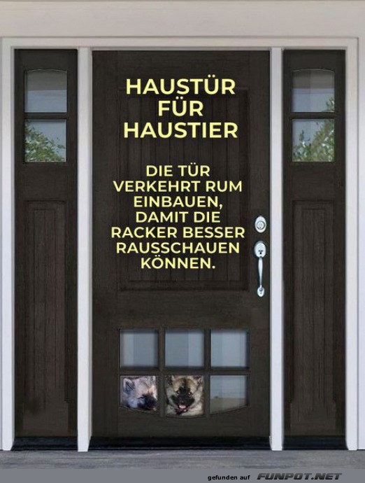 Haustr fr Haustier