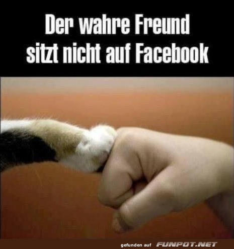 der wahre Freund