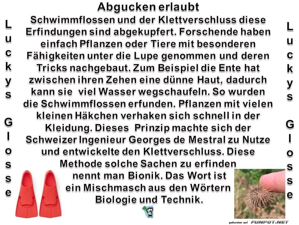 Abgucken erlaubt