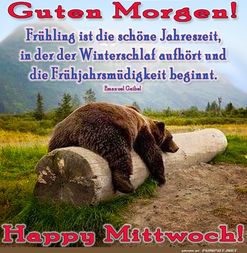 Mittwoch