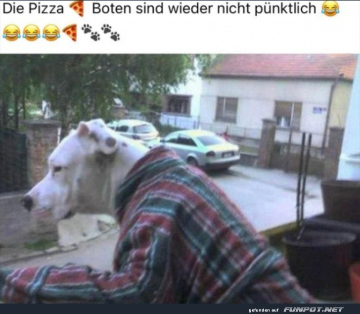 witzige Bilder aus verschiedenen Blogs