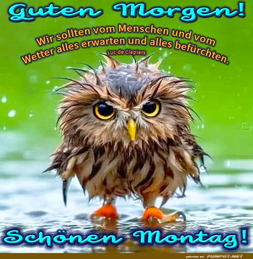 Montag