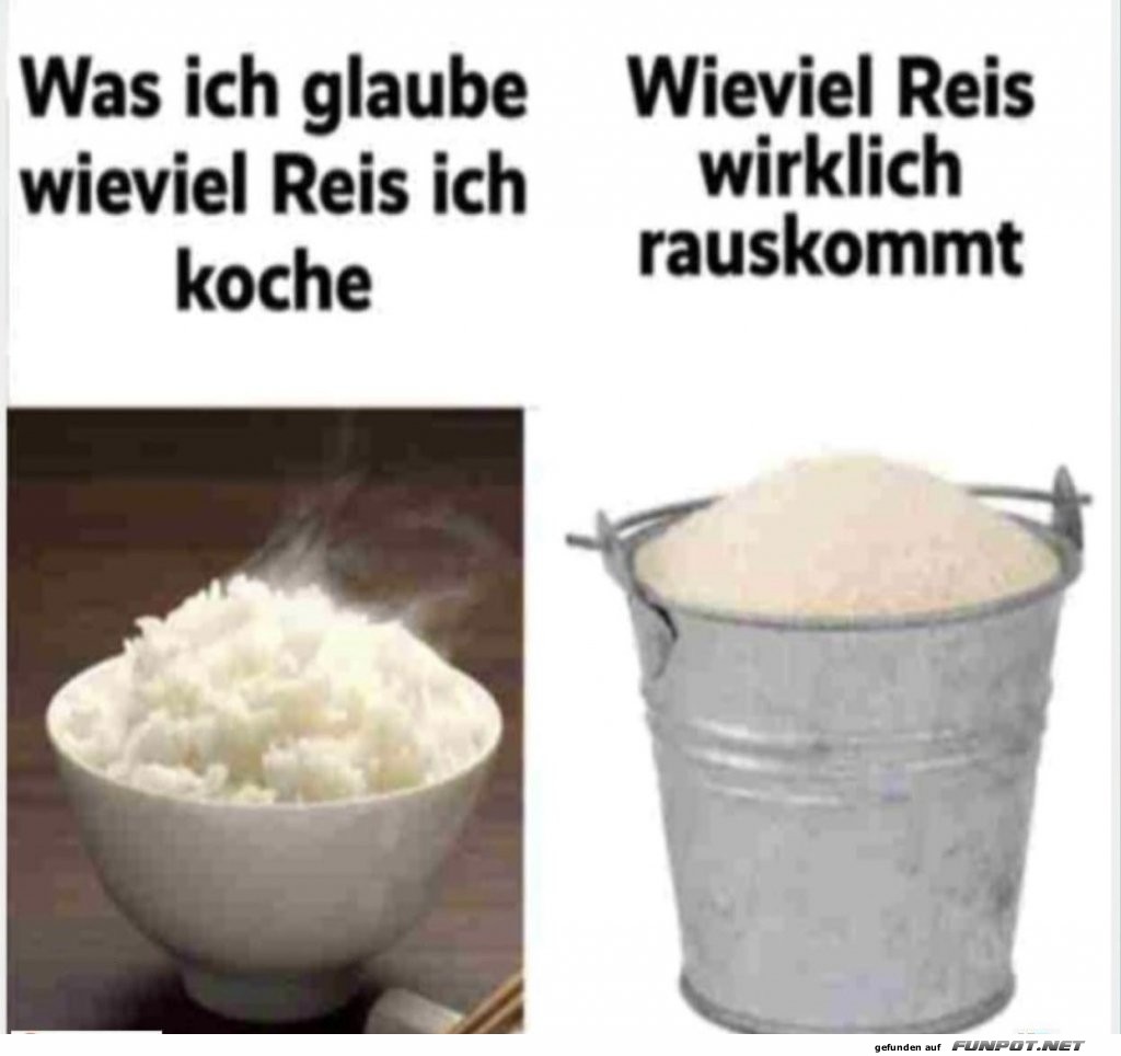 Ich komme immer zu viel Reis