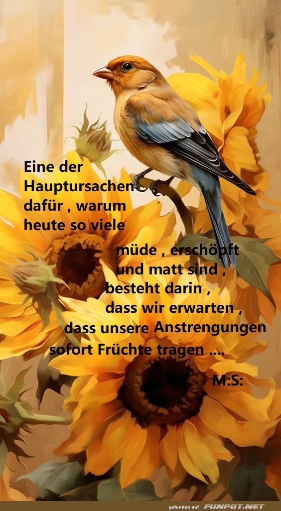 Eine der Hauptursachen dafr