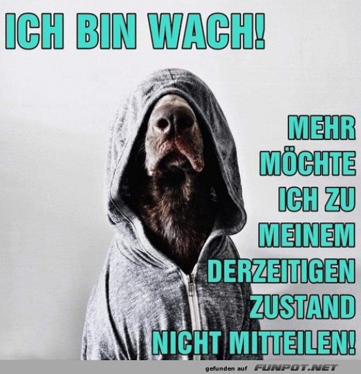 Ich bin wach