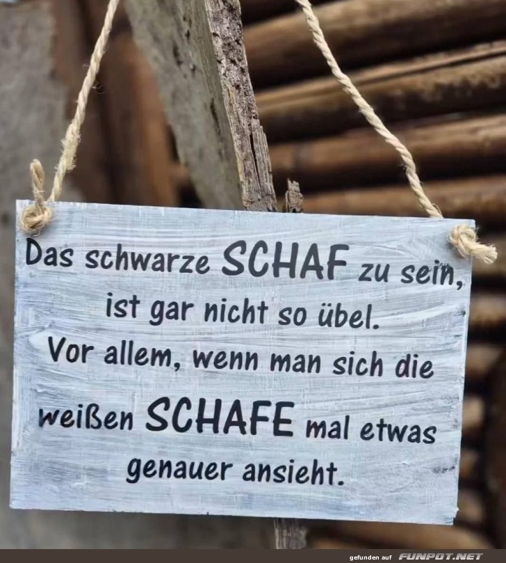 Das schwarze Schaf