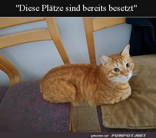 Hier ist besetzt