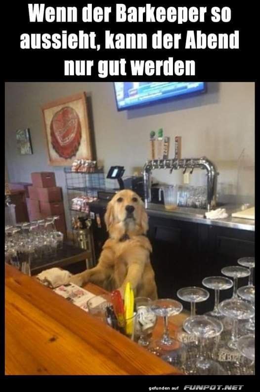 Toller Barkeeper