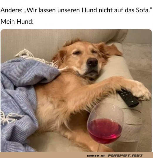 Mein Hund