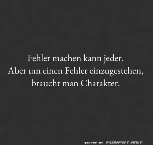 Fehler machen