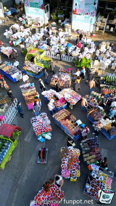 Grter Blumenmarkt in Shanghai