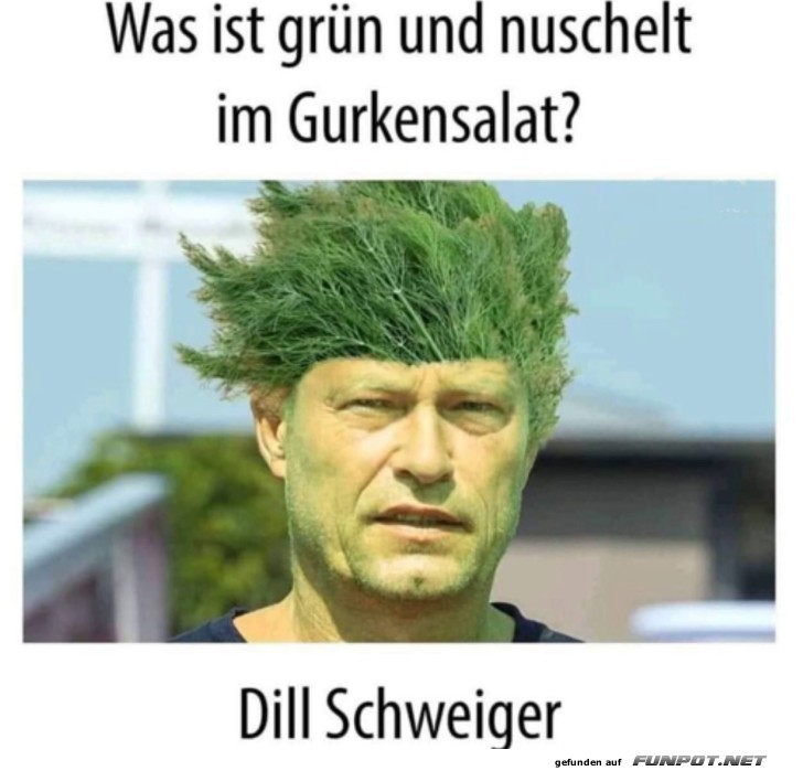 Dill Schweiger