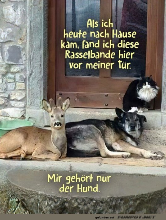 Rasselbande vor der Tre