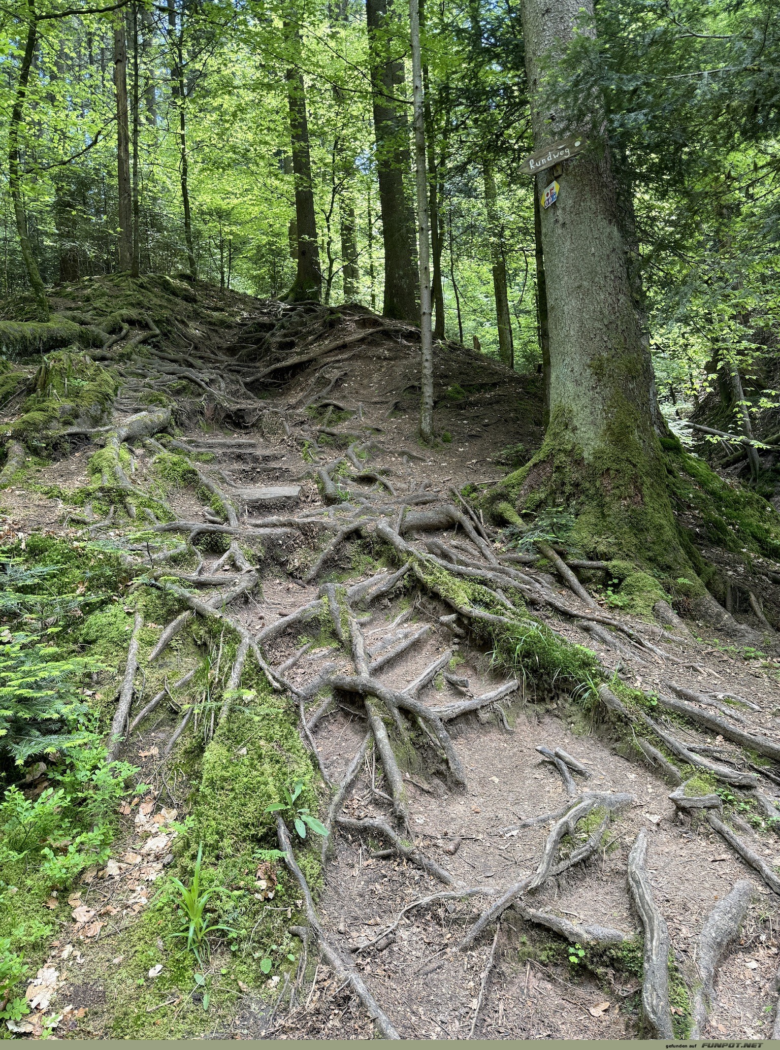 Die Doppelklinge der Hgeles- und Brunnenklinge...