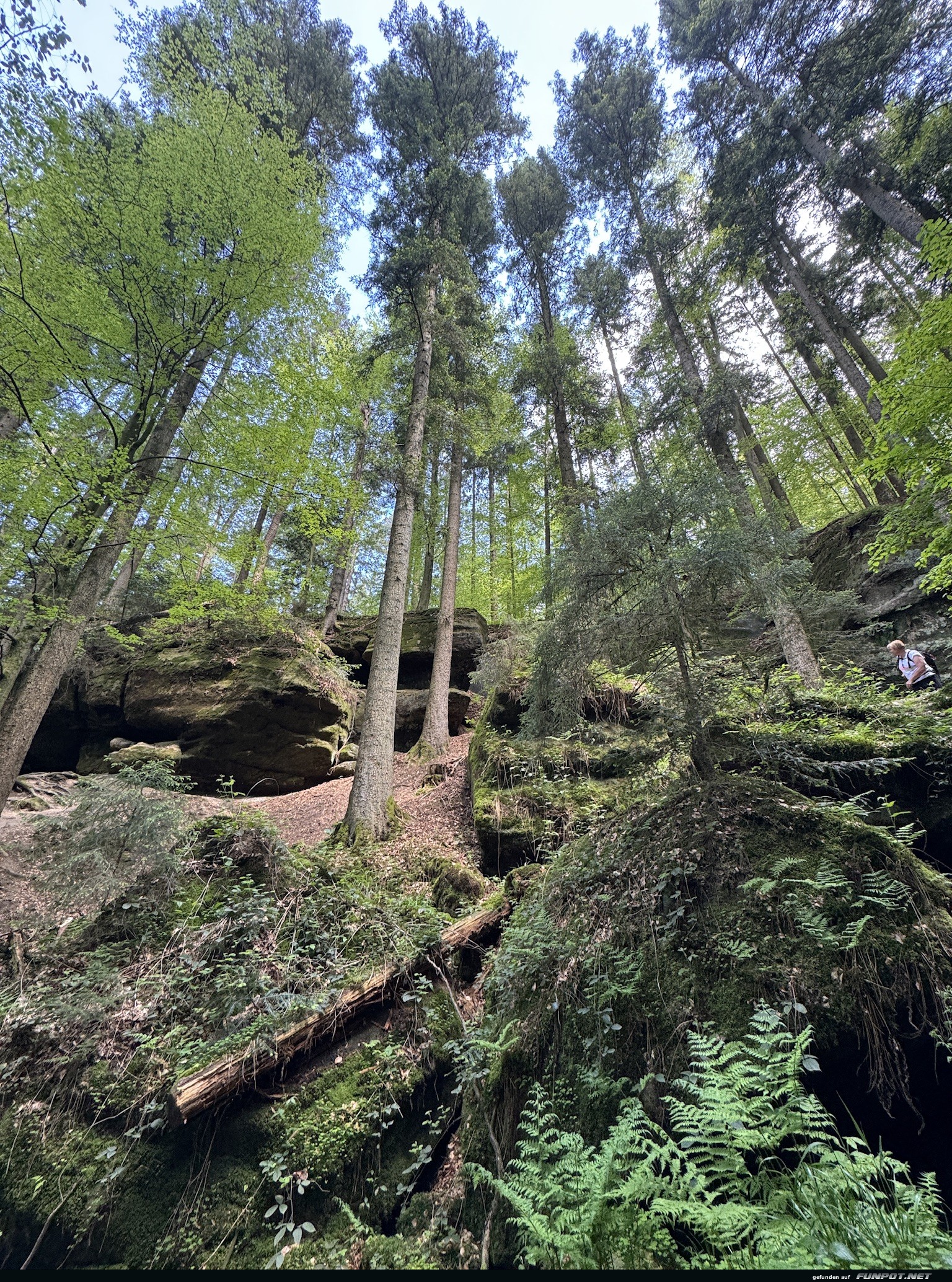 Die Doppelklinge der Hgeles- und Brunnenklinge...