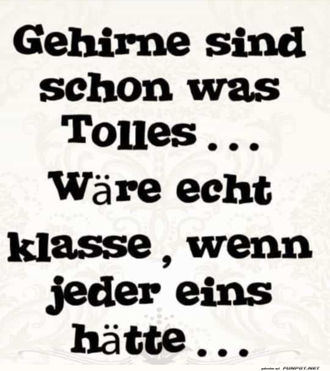 Gehirne