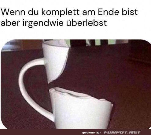 Komplett am Ende