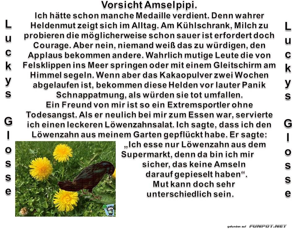 Vorsicht, Amselpipi