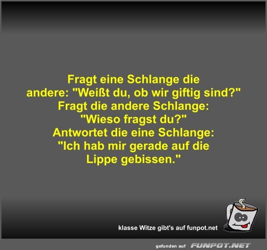 Fragt eine Schlange die andere