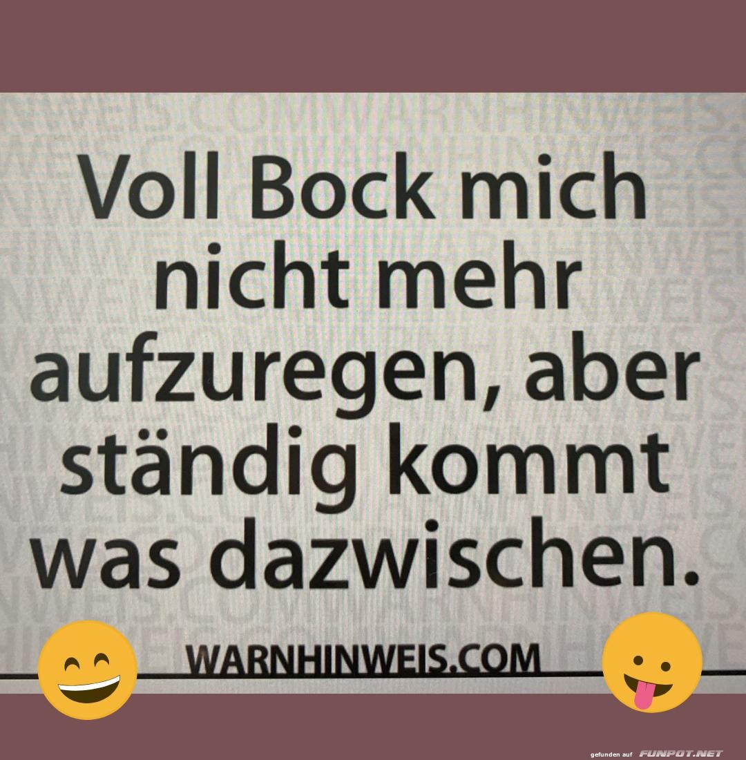 Voll Bock