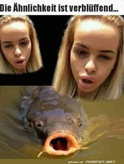 Diese Ähnlichkeit Diese Ähnlichkeit