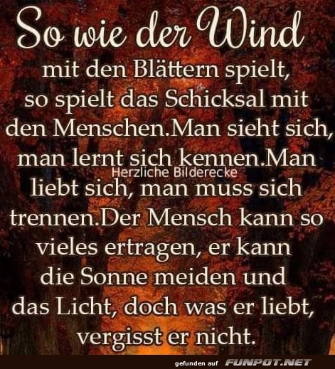 So wie der Wind