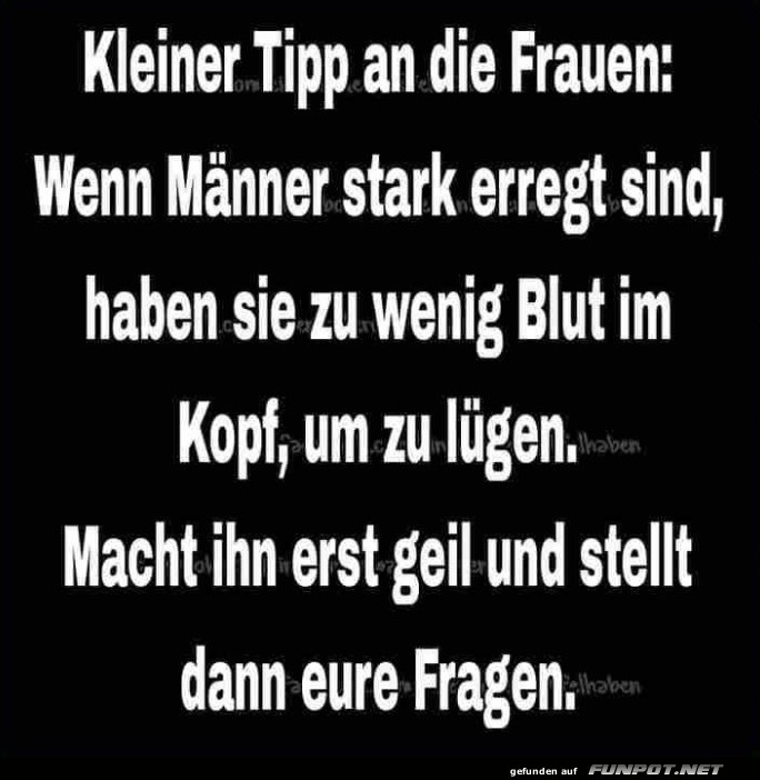 Kleiner Tip