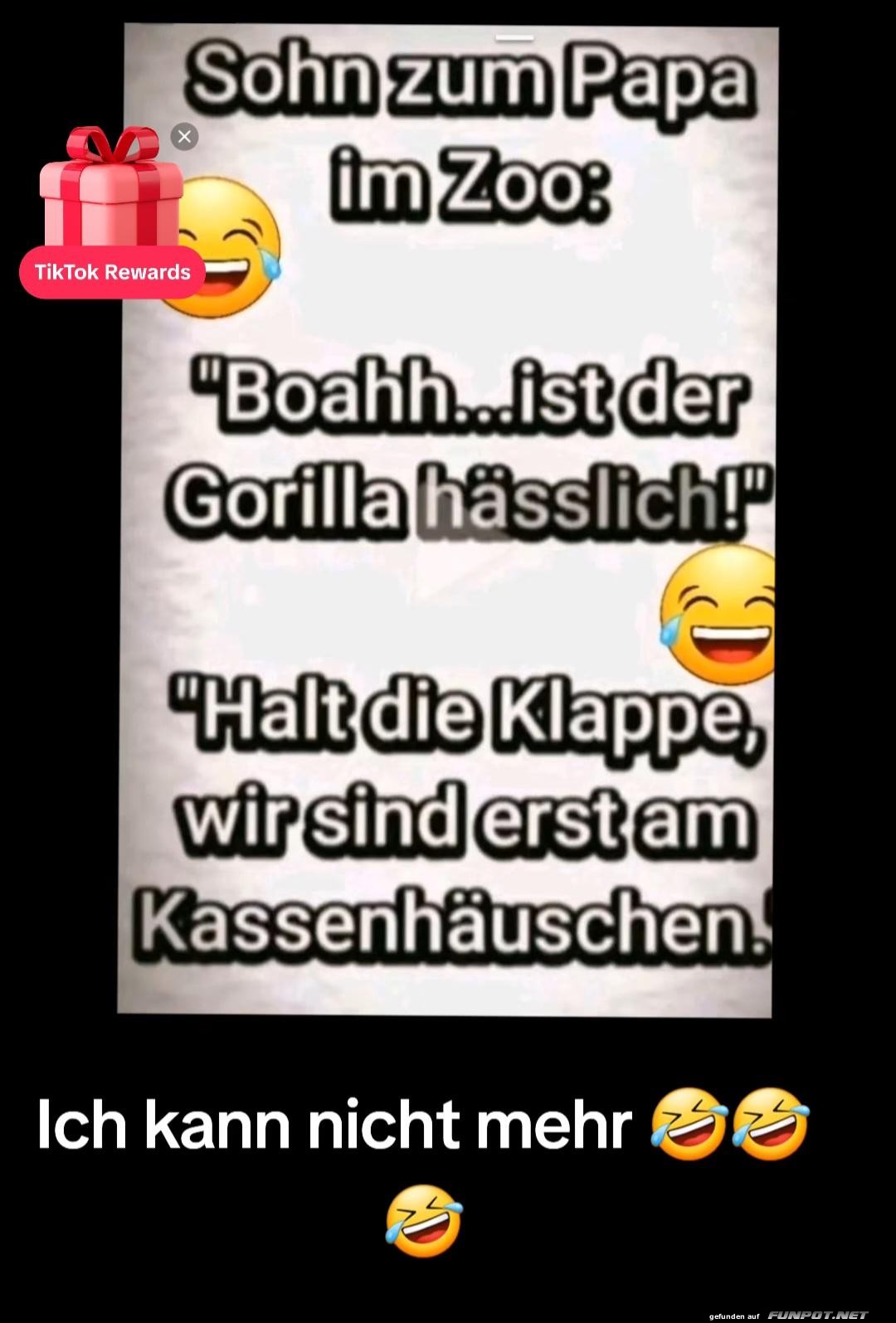 Im Zoo Im Zoo
