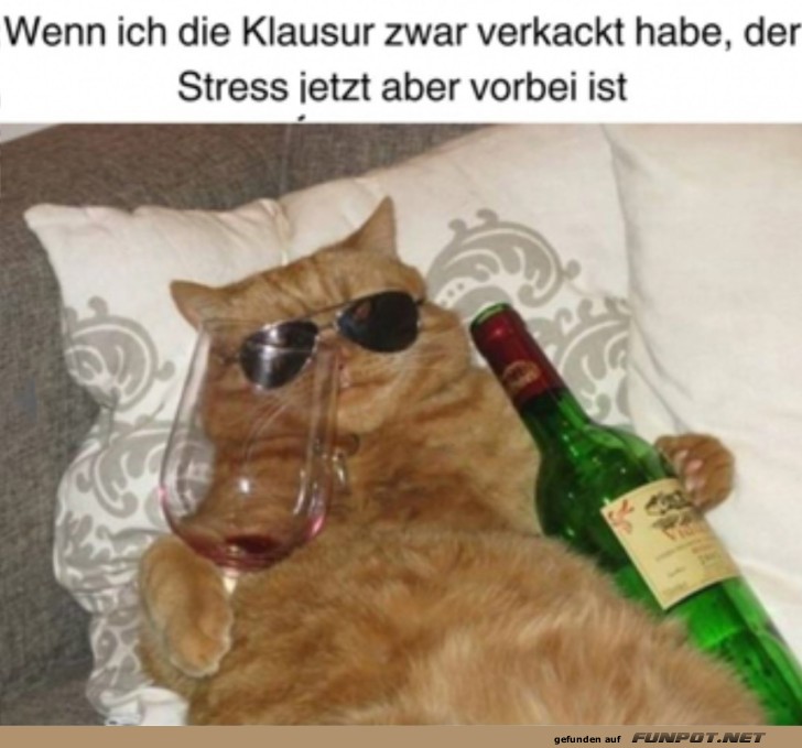 witzige Bilder aus verschiedenen Blogs