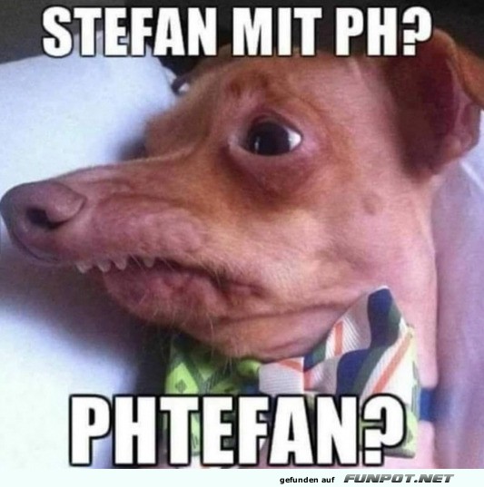 Stefan mit Ph