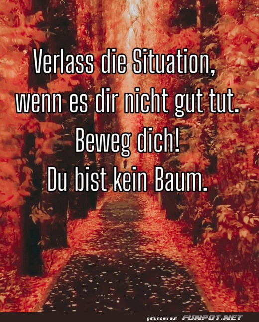 Verlass die Situation