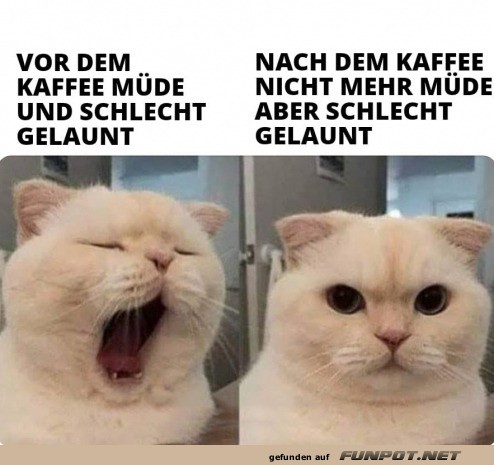 Schlecht gelaunt