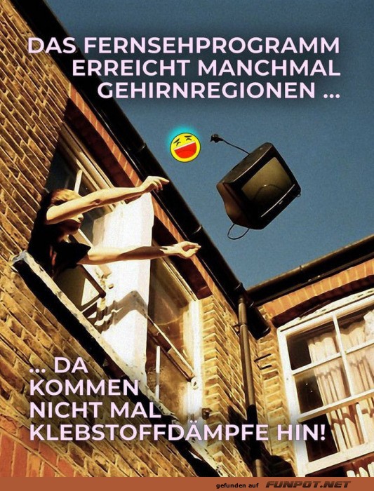 Das Fernsehprogramm