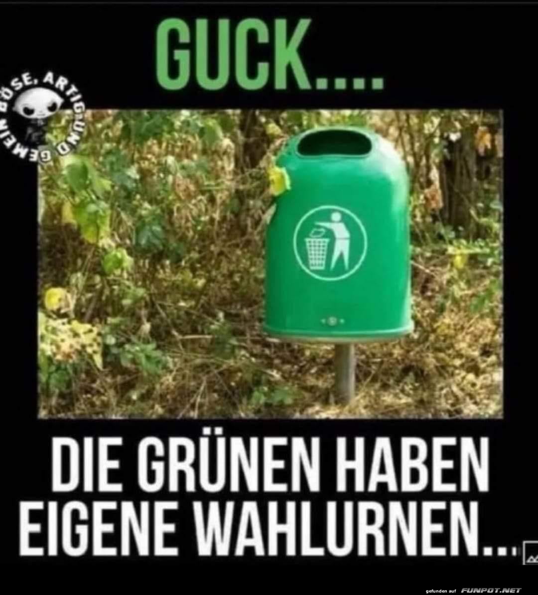 Guck