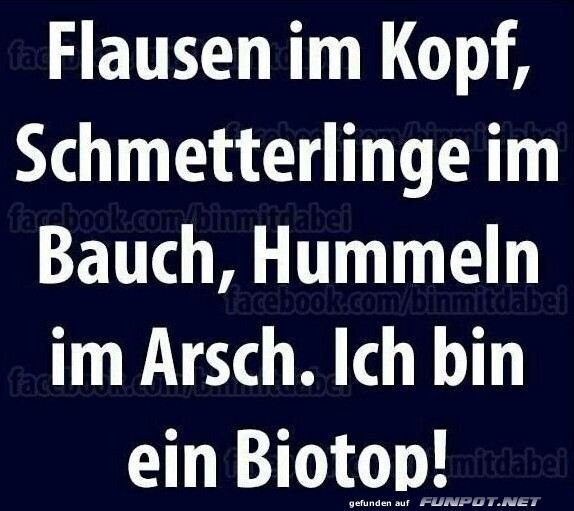 Flausen im Kopf Flausen im Kopf