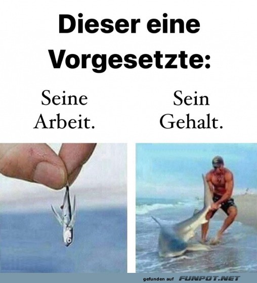 Dieser eine Vorgesetzte