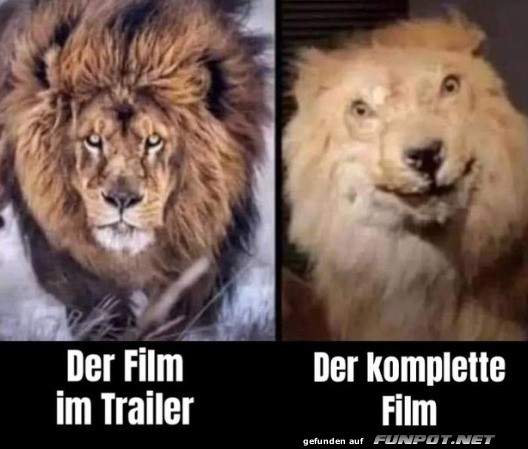 Der Film im Trailer