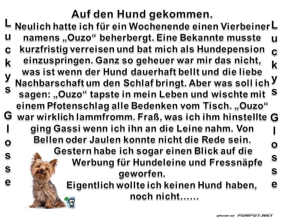 Auf den Hund gekommen