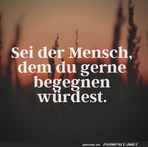 Sei der Mensch