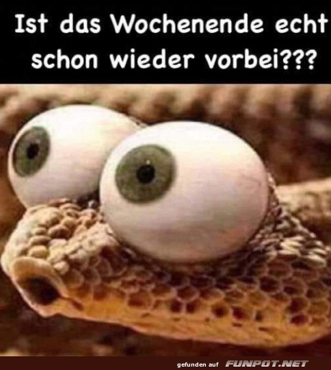 Wochenende ist vorbei