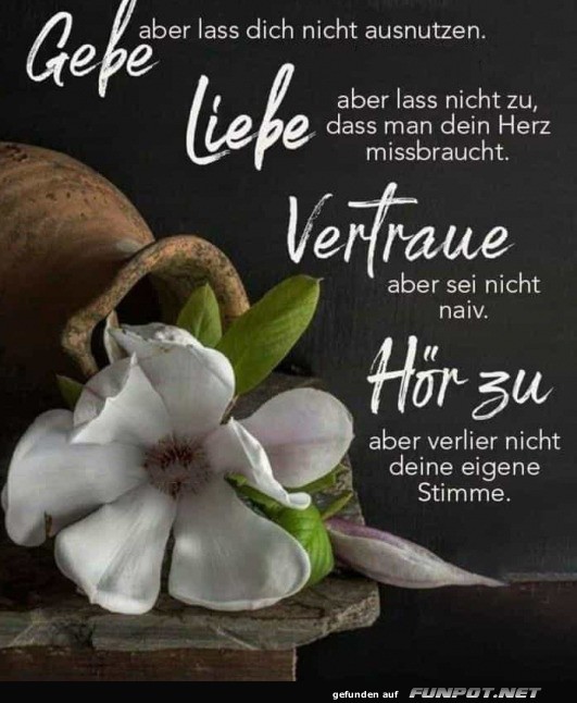 Gebe liebe vertraue hr zu