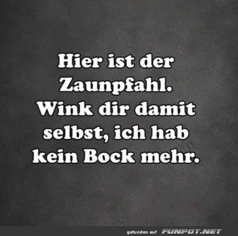 Der Zaunpfahl