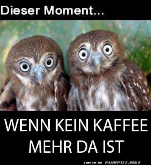 Dieser Moment